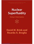 Nuclear Superfluidity: Pairing in Finite Systems