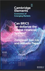 Can brics de dollarize the global financial system