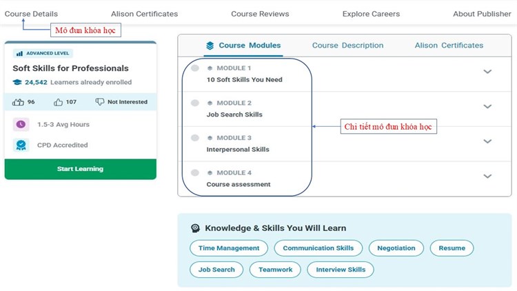 Giới thiệu khóa học trực tuyến miễn phí: “Kỹ năng mềm cho người chuyên nghiệp” (Soft Skills for Professionals) trên nền tảng Alison
