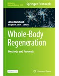 Whole-Body Regeneration: Methods and Protocols