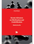 Recent Advances in Flood Risk Management