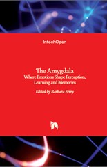 The Amygdala: Where Emotions Shape Perception, Learning and Memories