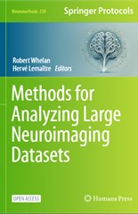 Methods for Analyzing Large Neuroimaging Datasets