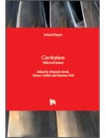 Cavitation: Selected Issues