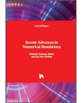 Recent Advances in Numerical Simulations