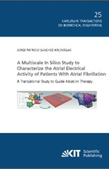A Multiscale In Silico Study to Characterize the Atrial Electrical Activity of Patients With Atrial Fibrillation: A Translational Study to Guide Ablation Therapy