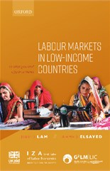 Labour Markets in Low-Income Countries: Challenges and Opportunities