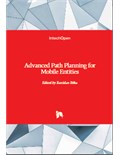 Advanced Path Planning for Mobile Entities
