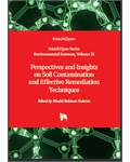 Perspectives and Insights on Soil Contamination and Effective Remediation Techniques