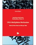 DNA Methylation Mechanism