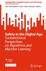 Safety in the Digital Age: Sociotechnical Perspectives on Algorithms and Machine Learning
