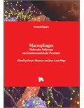 Macrophages: Molecular Pathways and Immunometabolic Processes