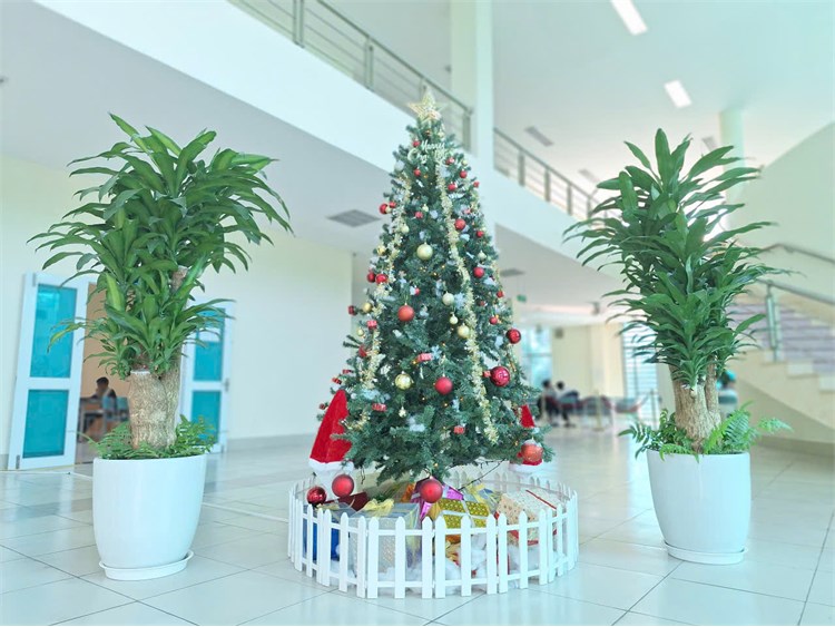 Không gian tri thức bừng sáng sắc Noel tại Thư viện Đại học Công nghiệp Hà Nội