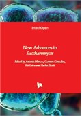 New Advances in Saccharomyces