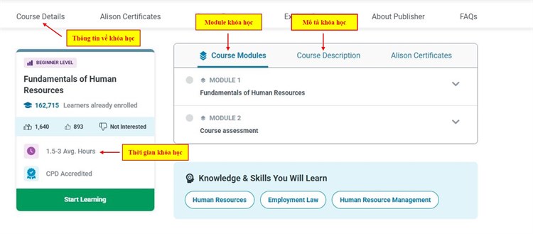 [Alison] Giới thiệu về khóa học miễn phí “Fundamentals of Human Resources - Những kiến ​​thức cơ bản về quản lý nhân sự`