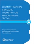 CHEM1111-General Inorganic Chemistry I Lab Manual-Online Section