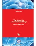 The Amygdala: A Discrete Multitasking Manager