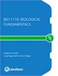 Bio 1110: Biological Fundamentals