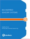 Bio-Inspired Sensory Systems