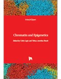 Chromatin and Epigenetics