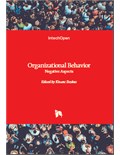 Organizational Behavior: Negative Aspects