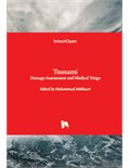 Tsunami: Damage Assessment and Medical Triage