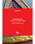 Neuroblastoma: Current State and Recent Updates