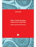 Nitric Oxide Synthase: Simple Enzyme-Complex Roles
