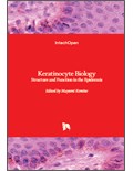 Keratinocyte Biology: Structure and Function in the Epidermis