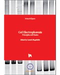 Gel Electrophoresis: Principles and Basics