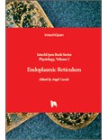 Endoplasmic Reticulum