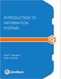 Introduction to Information Systems
