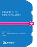 Principles of Microeconomic