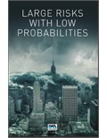 Large Risks with Low Probabilities: Perceptions and willingness to take preventive measures against flooding