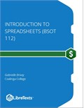 Introduction to Spreadsheets (BSOT 112)