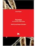 Fusarium: An Overview of the Genus