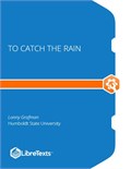 To Catch the Rain