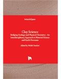 Clay Science: Bridging Geology and Physical Chemistry - An Interdisciplinary Approach to Material Science and Earth Processes