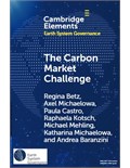 The Carbon Market Challenge: Preventing Abuse Through Effective Governance