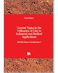 Current Topics in the Utilization of Clay in Industrial and Medical Applications