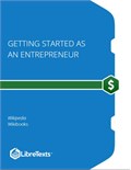 Getting Started as an Entrepreneur