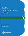Digital Entrepreneurship (CIS 028)