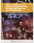 Smelly Fumes: Volatile-Mediated Communication between Bacteria and Other Organisms