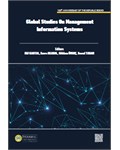Global Studies on Management Information Systems