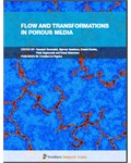 Flow and Transformations in Porous Media