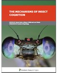The Mechanisms of Insect Cognition