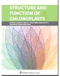 Structure and Function of Chloroplasts