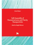Self-Assembly of Nanostructures and Patchy Nanoparticles