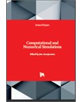Computational and Numerical Simulations