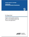 Single-crystal gradient plasticity with an accumulated plastic slip: Theory and applications